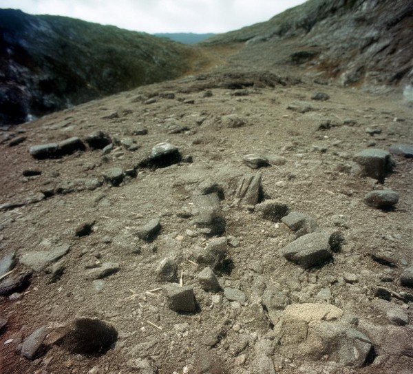 内蒙古金谷农业科技开发有限公司，科技赋能农业现代化，引领乡村振兴新路径