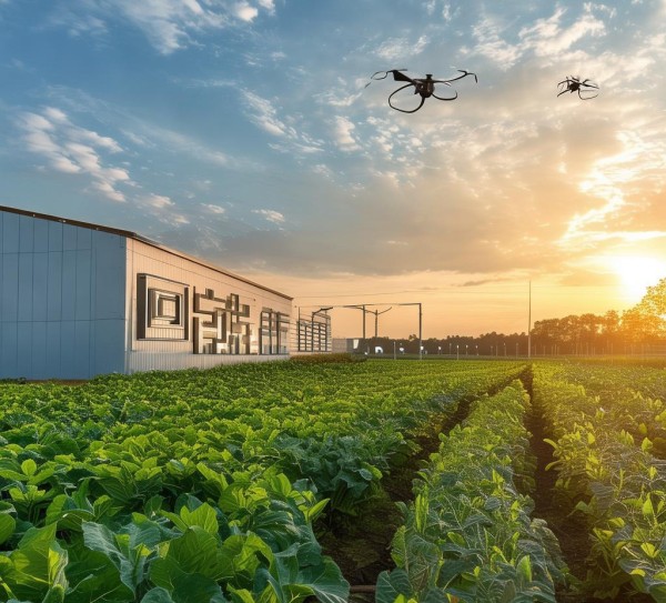 黑龙江丰旺农业科技开发有限公司，科技赋能现代农业，引领区域农业高质量发展